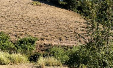 Terreno en venta cercano a Carahue.