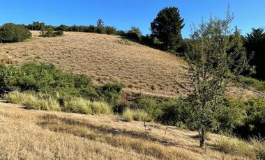 Terreno en venta cercano a Carahue.