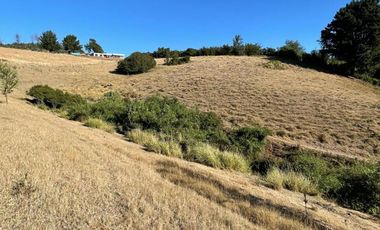 Terreno en venta cercano a Carahue.