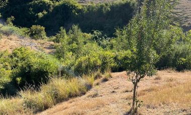 Terreno en venta cercano a Carahue.