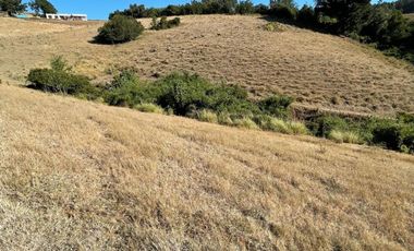 Terreno en venta cercano a Carahue.