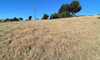 Terreno en venta cercano a Carahue.
