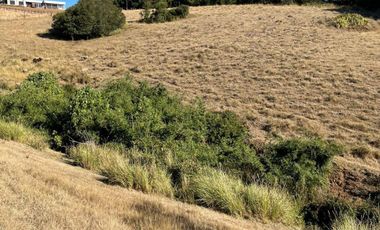 Terreno en venta cercano a Carahue.