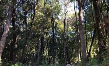 Parcela en venta Lago Villarrica, acceso al lago