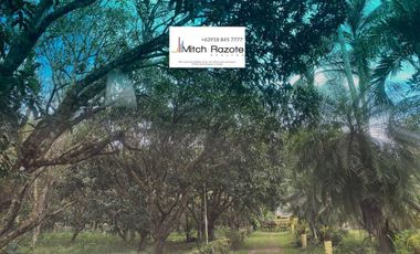 3-Hectare Farm With 7 Bedroom House and Swimming Pool For Sale in Lipa, Batangas