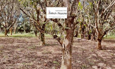3-Hectare Farm With 7 Bedroom House and Swimming Pool For Sale in Lipa, Batangas