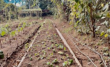 3-Hectare Farm With 7 Bedroom House and Swimming Pool For Sale in Lipa, Batangas