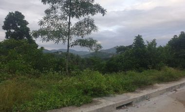 Overlooking 280 Sqm Lot for Sale in Greenwoods near Talamban Cebu City with Mountain View