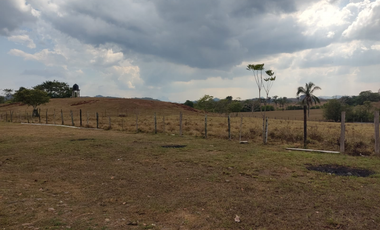 Se Vende Finca de 7.6 Hectáreas en Capira