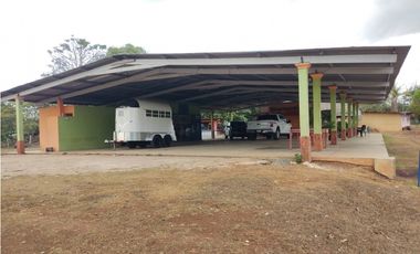 Se Vende Finca de 7.6 Hectáreas en Capira
