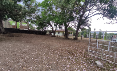Se Vende Finca de 7.6 Hectáreas en Capira