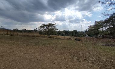 Se Vende Finca de 7.6 Hectáreas en Capira