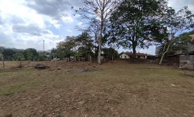 Se Vende Finca de 7.6 Hectáreas en Capira