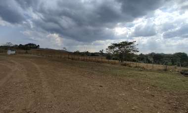 Se Vende Finca de 7.6 Hectáreas en Capira