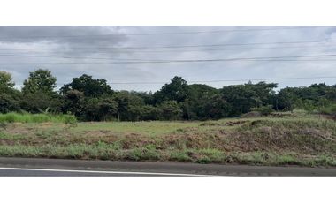 VENDO TERRENO EN EL GAVILAN, DE LA MESA