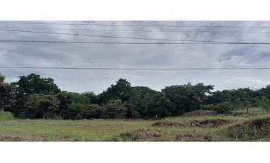 VENDO TERRENO EN EL GAVILAN, DE LA MESA