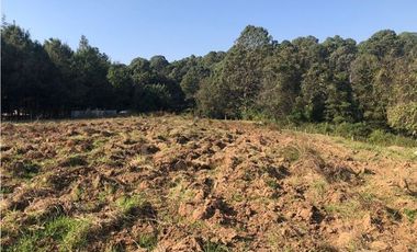 SE VENDE TERRENO EN LOS ALAMOS, VALLE DE BRAVO