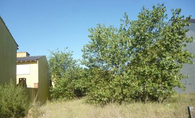 1 ENTRE 81 Y 82, MAR DEL TUYU