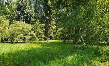 Espectacular Casa En Condominio Y Orilla De Lago Ranco, Llifén