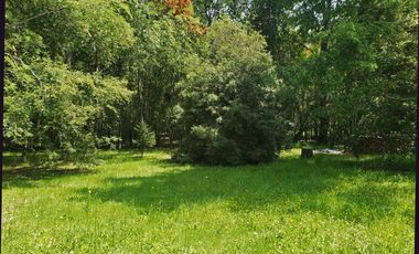 Espectacular Casa En Condominio Y Orilla De Lago Ranco, Llifén