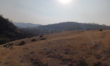 VENTA DE TERRENO EN DEXCANI, JILOTEPEC 47,000 MT2.