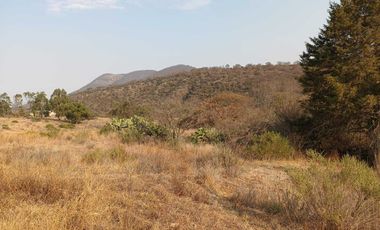 VENTA DE TERRENO EN DEXCANI, JILOTEPEC 47,000 MT2.