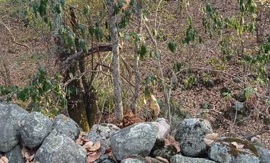 VENTA DE TERRENO EN DEXCANI, JILOTEPEC 47,000 MT2.