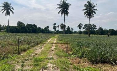 Land for sale in , Phetchaburi