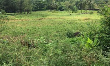 Mixed-use Lot for Sale in Pagadian, Zamboanga del Sur