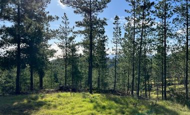 Parcela en Venta en Loteo Fundo Boyeruca, Nuevo terreno en venta