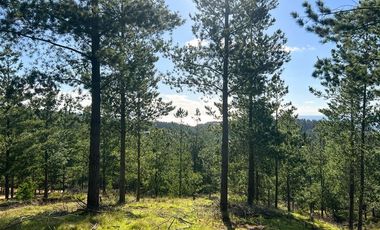 Parcela en Venta en Loteo Fundo Boyeruca, Nuevo terreno en venta