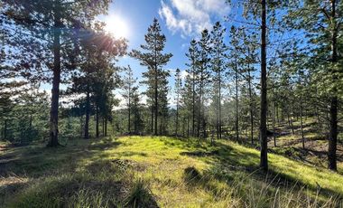 Parcela en Venta en Loteo Fundo Boyeruca, Nuevo terreno en venta
