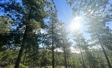 Parcela en Venta en Loteo Fundo Boyeruca, Nuevo terreno en venta