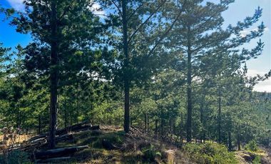 Parcela en Venta en Loteo Fundo Boyeruca, Nuevo terreno en venta