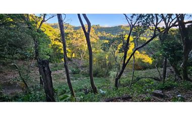 VENDO TERRENO DE 2000 METROS BOQUETE PALMIRA