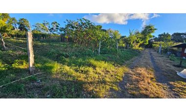 VENDO TERRENO DE 2000 METROS BOQUETE PALMIRA