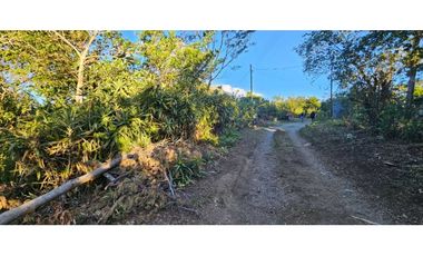 VENDO TERRENO DE 2000 METROS BOQUETE PALMIRA