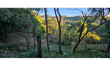 VENDO TERRENO DE 2000 METROS BOQUETE PALMIRA