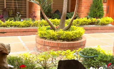 apartamento en venta en centro. Cod V8587665