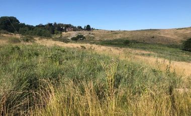 10 LOTES EN BLOCK EN TANDIL