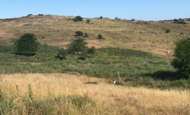 10 LOTES EN BLOCK EN TANDIL