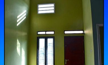 dijual rumah minimalis modern di jalan paus harga terjangkau