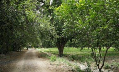 Terreno en Venta en San Buenaventura, Coahuila.