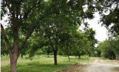 Terreno en Venta en San Buenaventura, Coahuila.