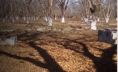 Terreno en Venta en San Buenaventura, Coahuila.