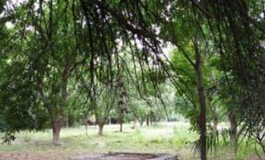 Terreno en Venta en San Buenaventura, Coahuila.