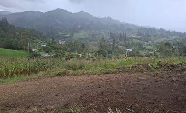 finca en venta en soleres. Cod V5768