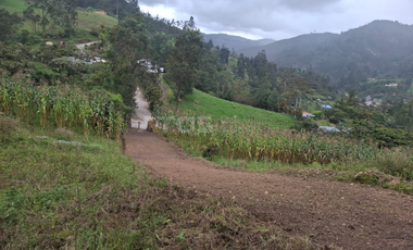 finca en venta en soleres. Cod V5768