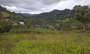 finca en venta en soleres. Cod V5768