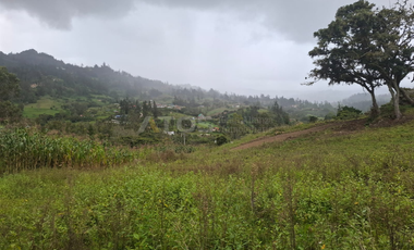 finca en venta en soleres. Cod V5768